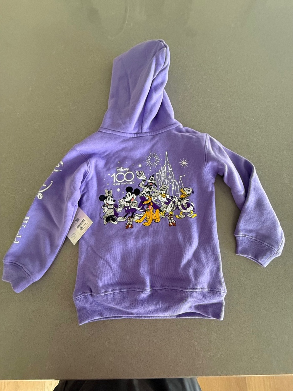 NWT Mickey Mouse and Friends Disney100 Pullover Hoodie Purple Size 3